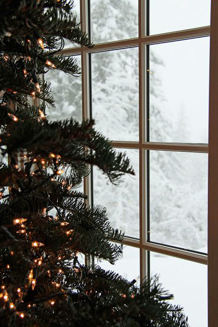 Christmas gift guide for me Weihnachtsbaum vor einem Fenster