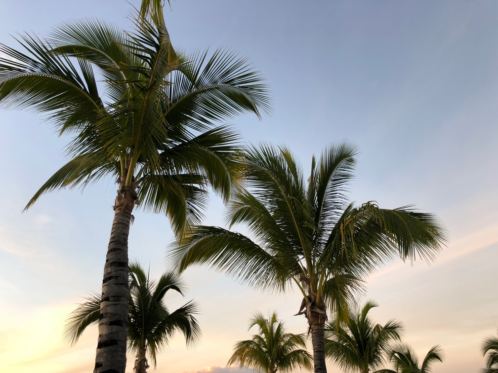 Goodbye 2017 and welcome 2018 Mauritius Sonnenuntergang
