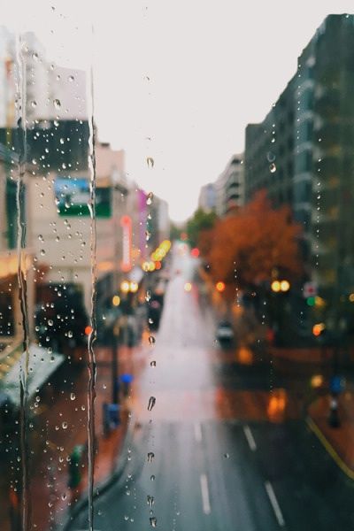 Warum Egoismus manchmal auch gut ist Straße im Regen