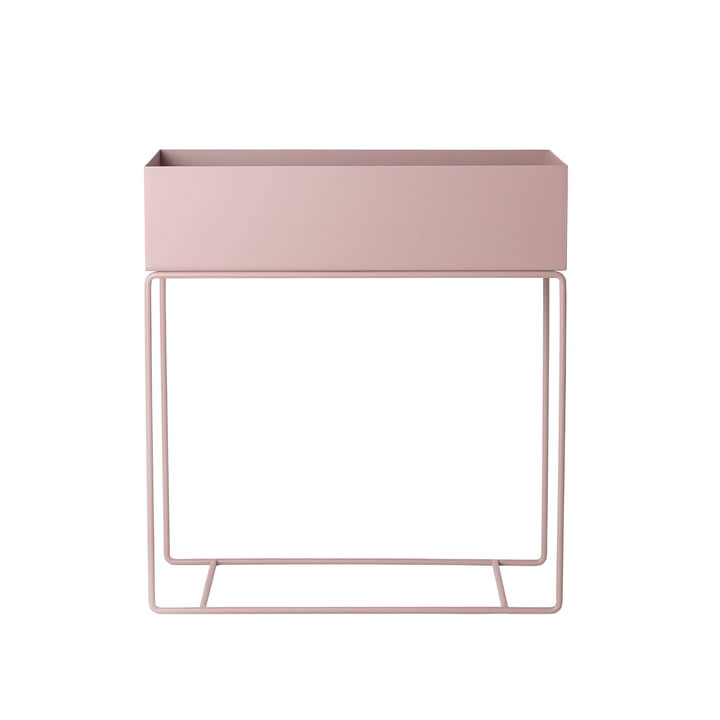 Pnat Box von fermliving in rosa