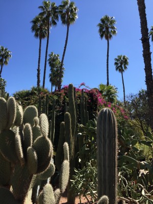 Marrakech-Jardin Majorelle