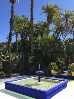 Jardin_Majorelle2