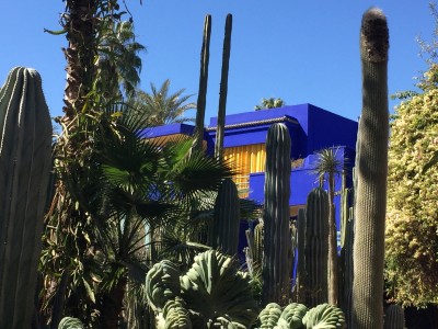 Jardin_Majorelle4